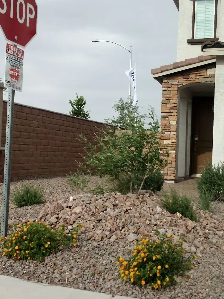 Expert outdoor landscaping experts serving Las Vegas, NV - Thomas Tree care