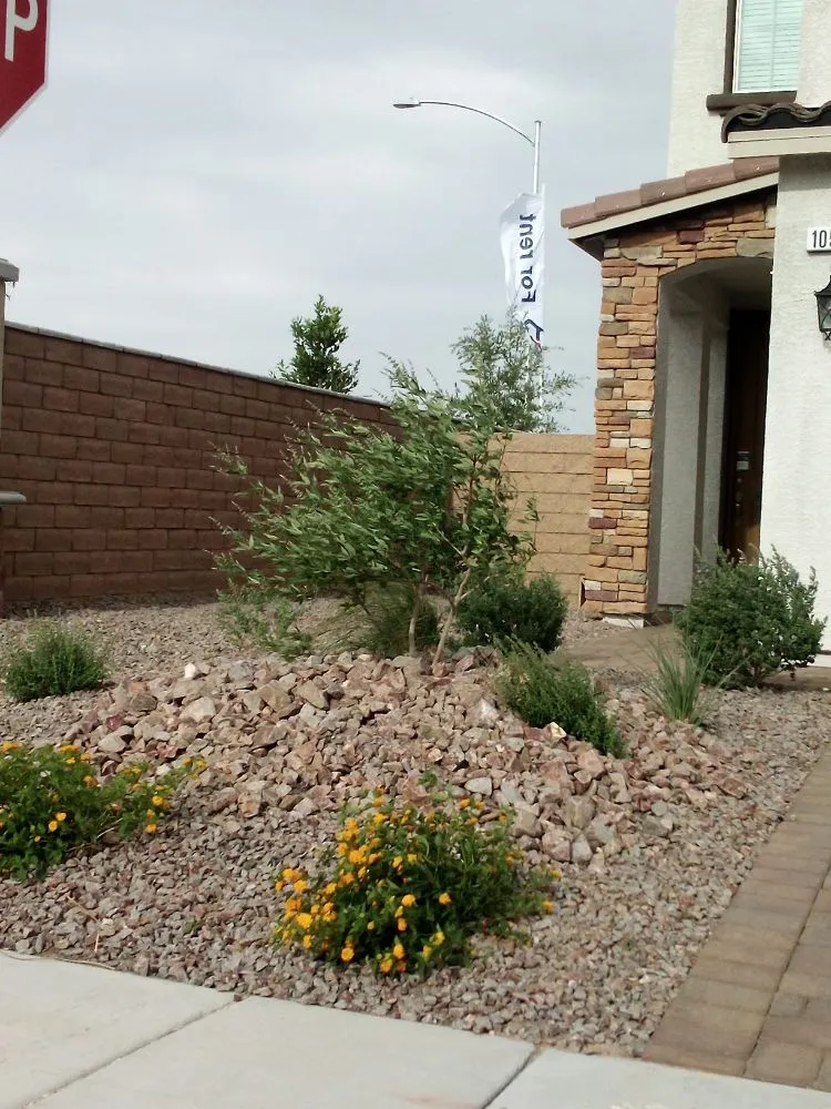 Affordable residential landscaping in Las Vegas, NV by Thomas Tree care