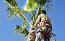 Trusted lawn care service for beautiful yards across Tulsa, OK - Thomas Tree Service & Landscaping