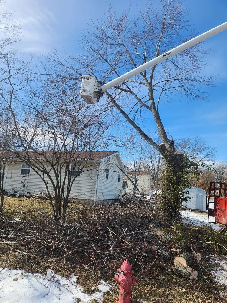 Top-rated lawn mowing service for residential properties across Versailles, MO - Thomas Tree Service