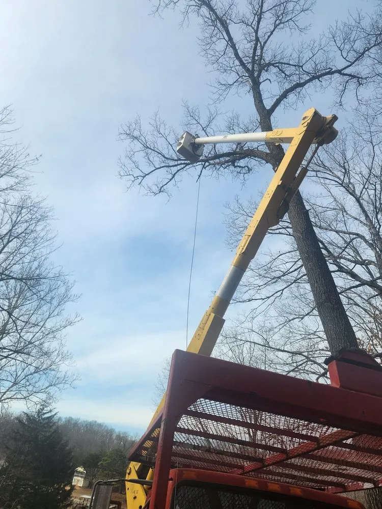 Professional residential landscaping near you across Versailles, MO - Thomas Tree Service