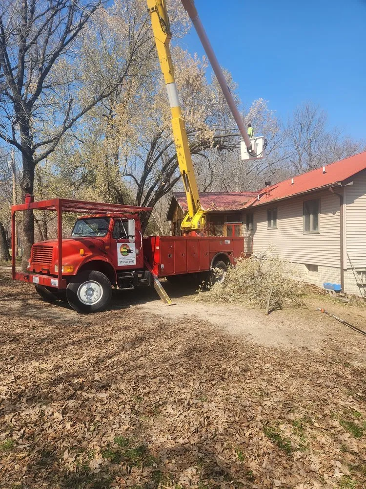 Professional landscaping services experts serving Versailles, MO - Thomas Tree Service