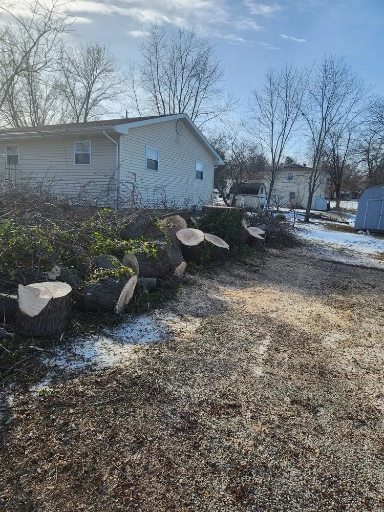 Affordable yard maintenance in Versailles, MO - Thomas Tree Service