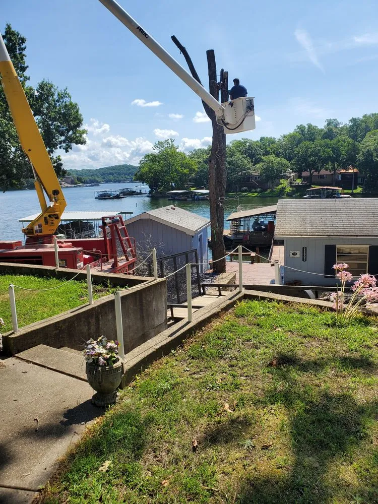 Reliable landscape installation for homes in Versailles, MO by Thomas Tree Service