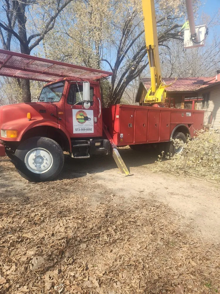 Affordable landscape design in Versailles, MO - Thomas Tree Service