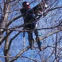 Reliable yard cleanup service for year-round maintenance in Versailles, MO by Thomas Tree Service