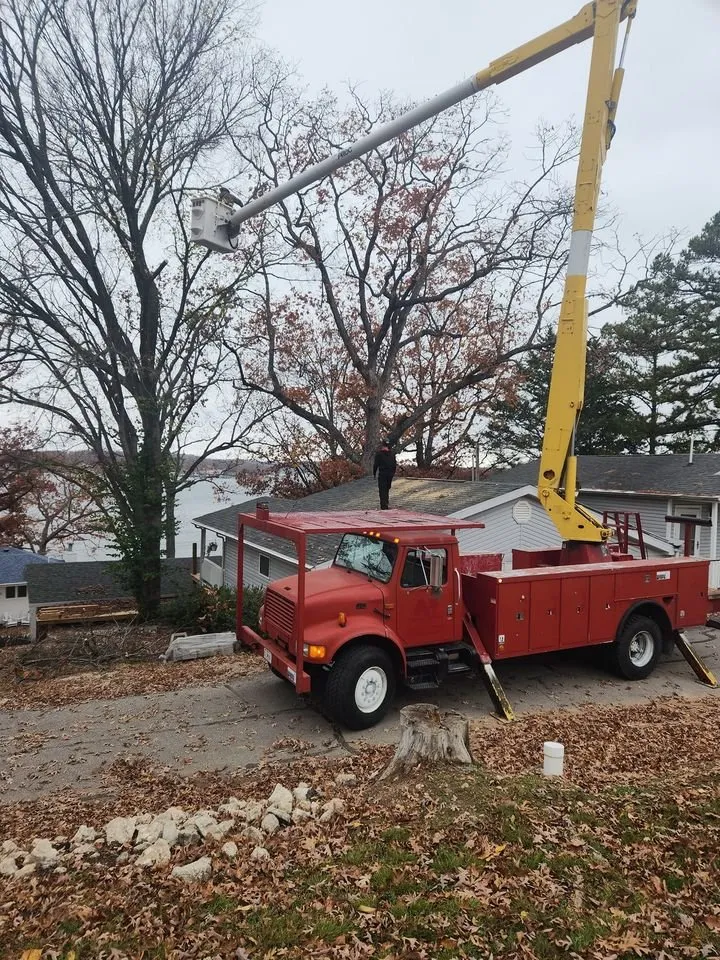 Top-rated landscape design near you in Versailles, MO by Thomas Tree Service