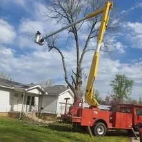 Expert landscaping services in Versailles, MO by Thomas Tree Service