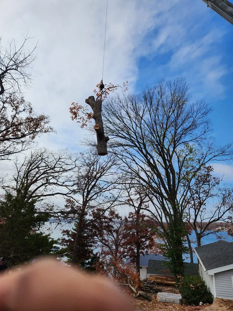 Expert lawn mowing service experts serving Versailles, MO - Thomas Tree Service