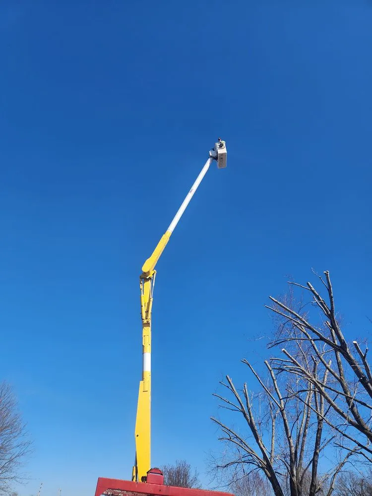 Trusted landscape design in Versailles, MO - Thomas Tree Service