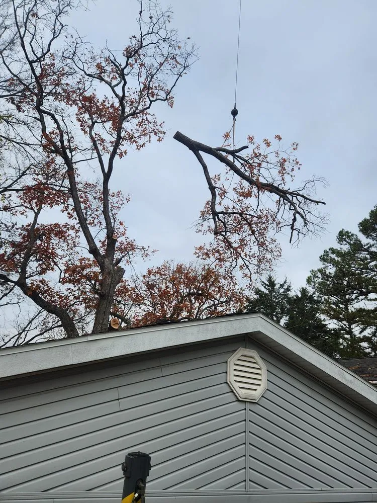 Expert residential landscaping experts serving Versailles, MO - Thomas Tree Service