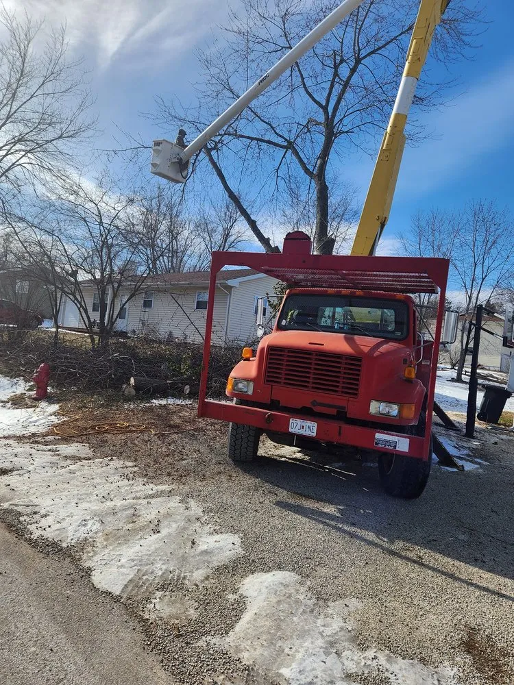 Expert lawn mowing service with custom design in Versailles, MO by Thomas Tree Service