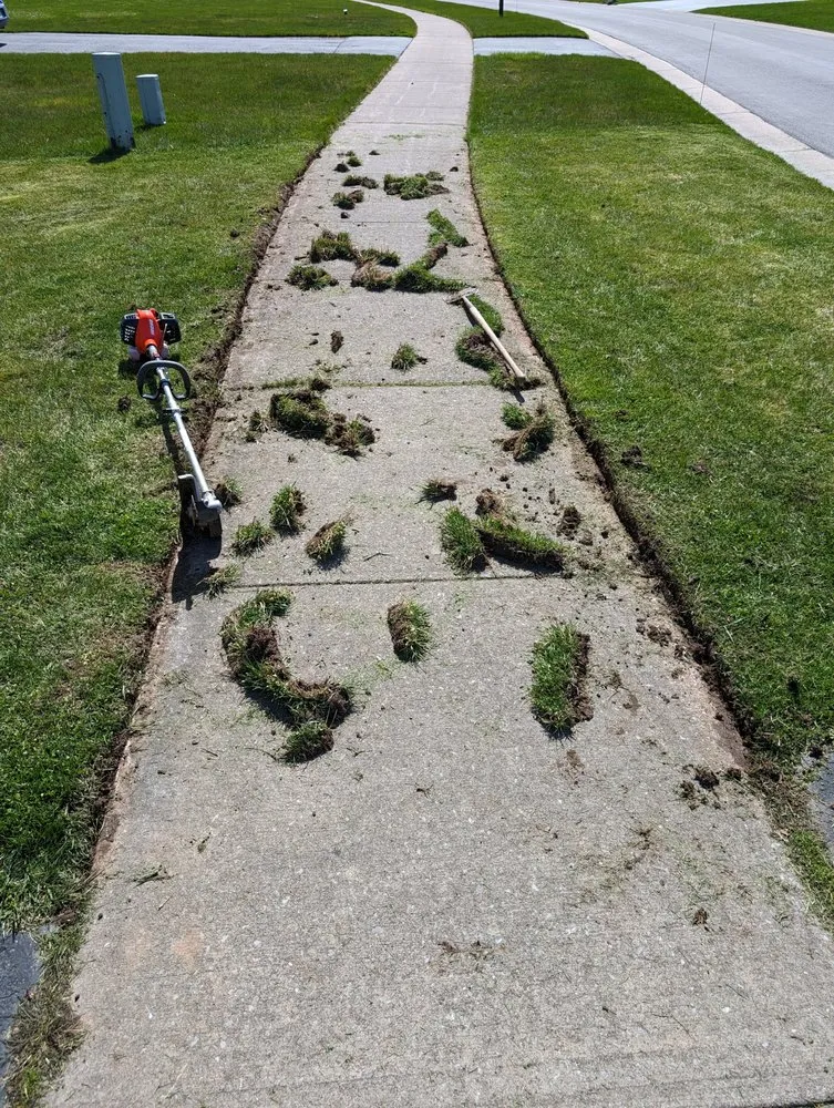 Reliable landscaping services experts serving Brockport, NY - Thomas Trimming Landscape