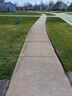 Thomas Trimming Landscape Logo