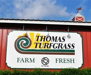 Professional yard cleanup service experts serving New Braunfels, TX - Thomas Turfgrass