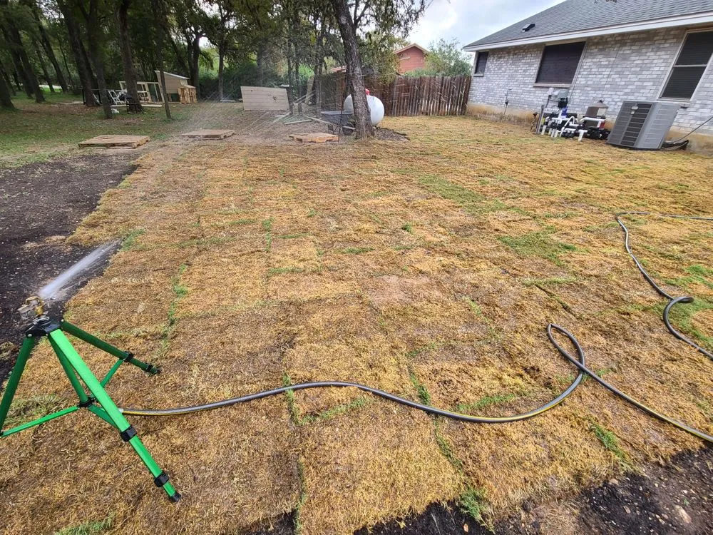Affordable yard cleanup service in New Braunfels, TX - Thomas Turfgrass