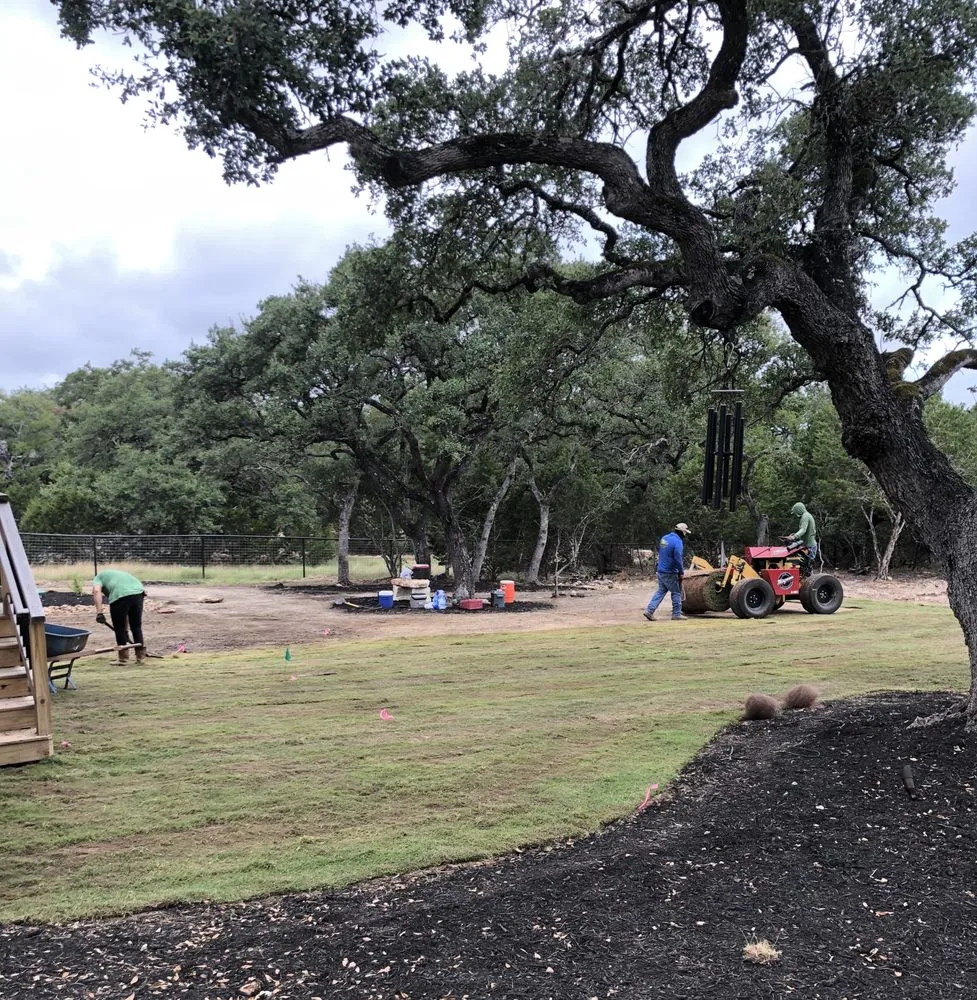 Professional landscaping services for year-round maintenance across New Braunfels, TX - Thomas Turfgrass