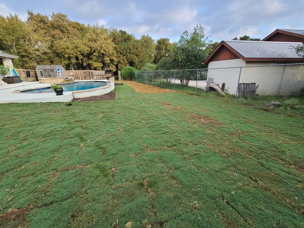 Professional lawn mowing service for year-round maintenance across New Braunfels, TX - Thomas Turfgrass