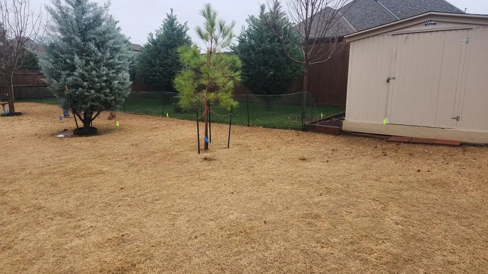 Affordable lawn mowing service for residential properties in Yukon, OK by Thomason Lawn Care