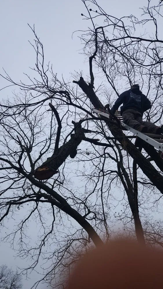 Reliable outdoor landscaping for homes across Yukon, OK - Thomason Lawn Care