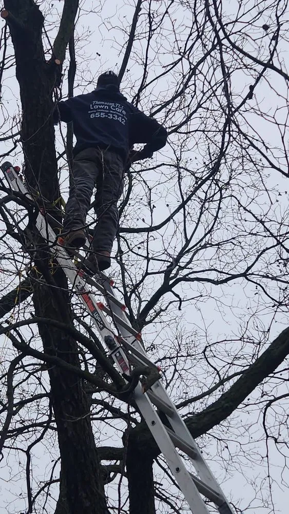 Expert landscaping services in Yukon, OK - Thomason Lawn Care