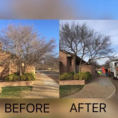 Thomason Lawn Care Logo