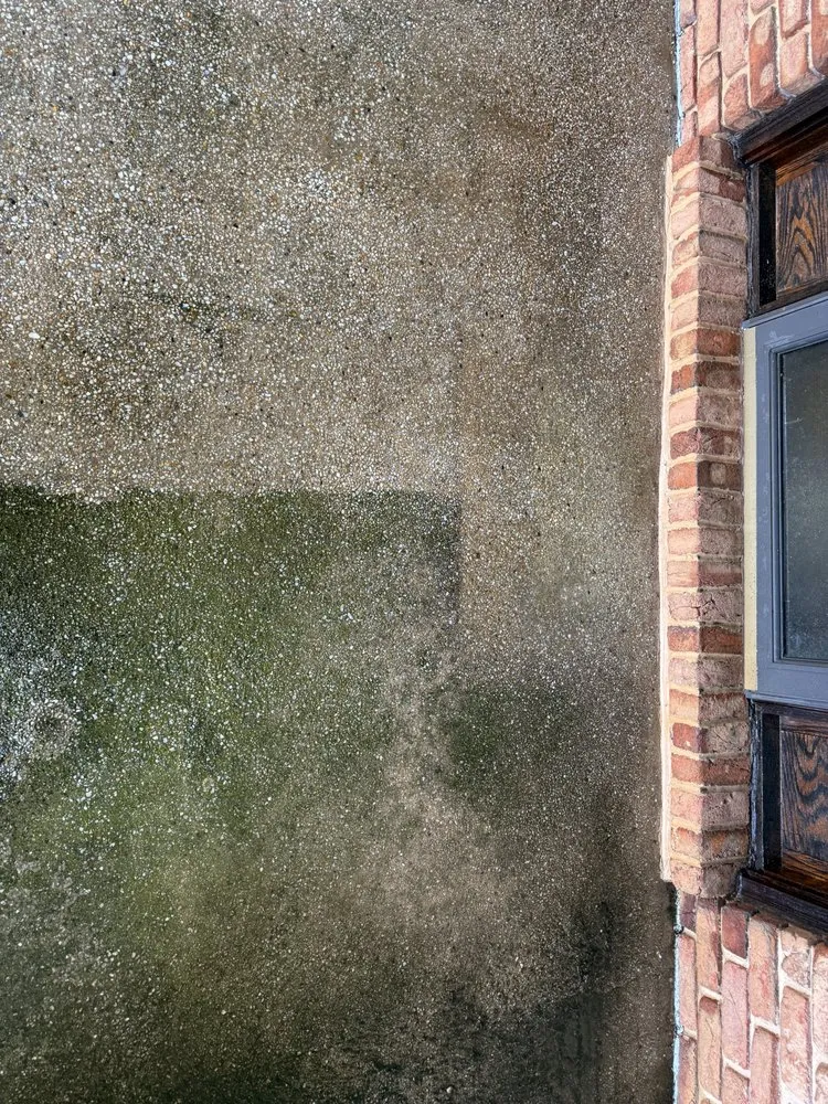 Affordable outdoor landscaping for beautiful yards in Sykesville, MD by Thompson & Services