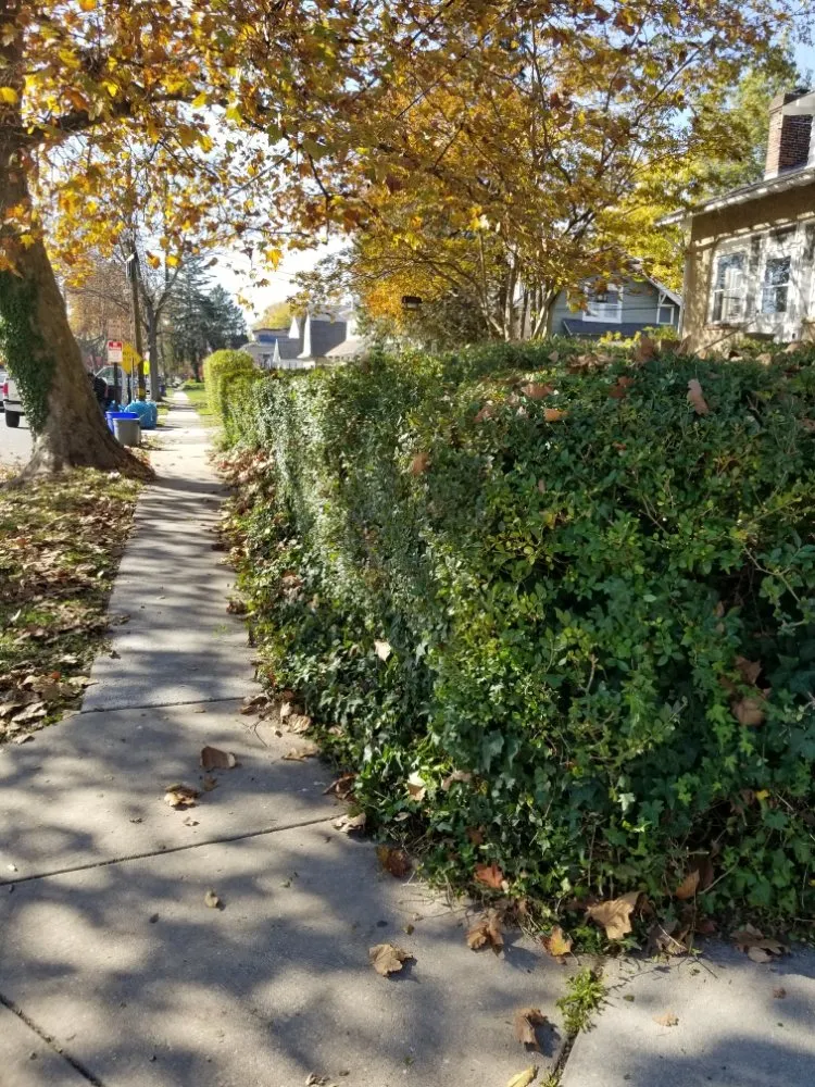 Custom landscape design for beautiful yards across Sharon Hill, PA - Thompson & Sons Landscaping