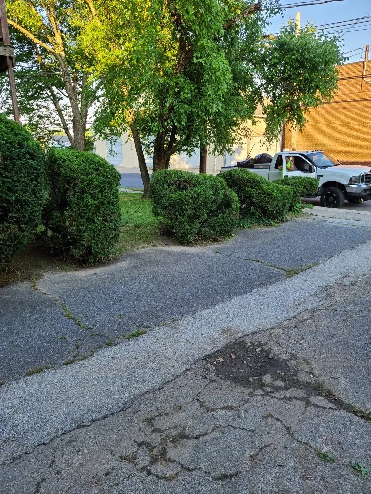 Affordable lawn mowing service near you across Sharon Hill, PA - Thompson & Sons Landscaping