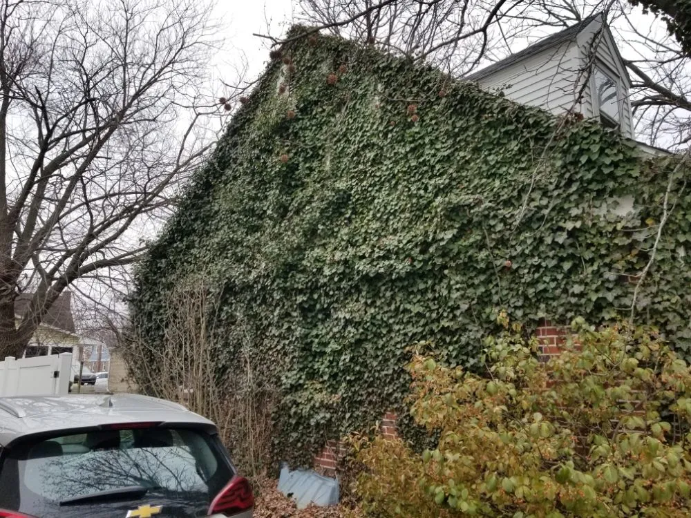 Trusted yard maintenance for homes across Sharon Hill, PA - Thompson & Sons Landscaping