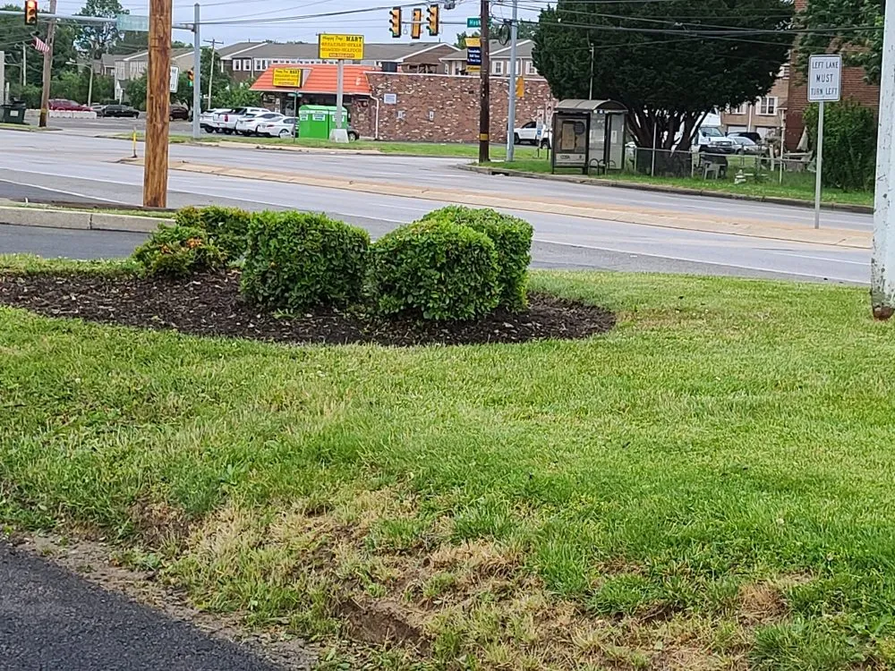 Custom lawn mowing service experts serving Sharon Hill, PA - Thompson & Sons Landscaping