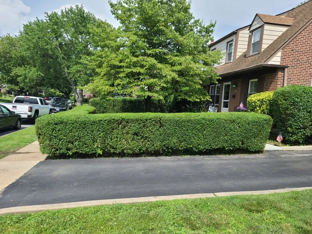 Local landscaping services experts serving Sharon Hill, PA - Thompson & Sons Landscaping