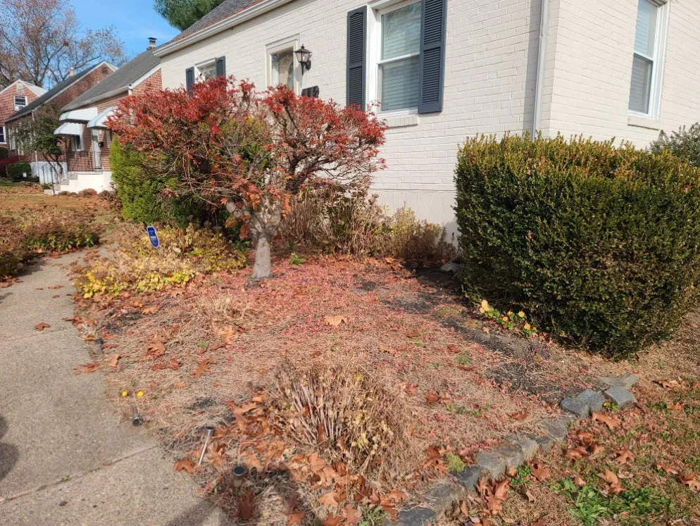 Affordable lawn care service in Sharon Hill, PA by Thompson & Sons Landscaping