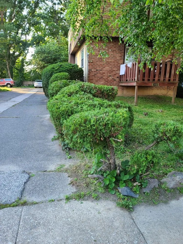 Local landscape design in Sharon Hill, PA by Thompson & Sons Landscaping