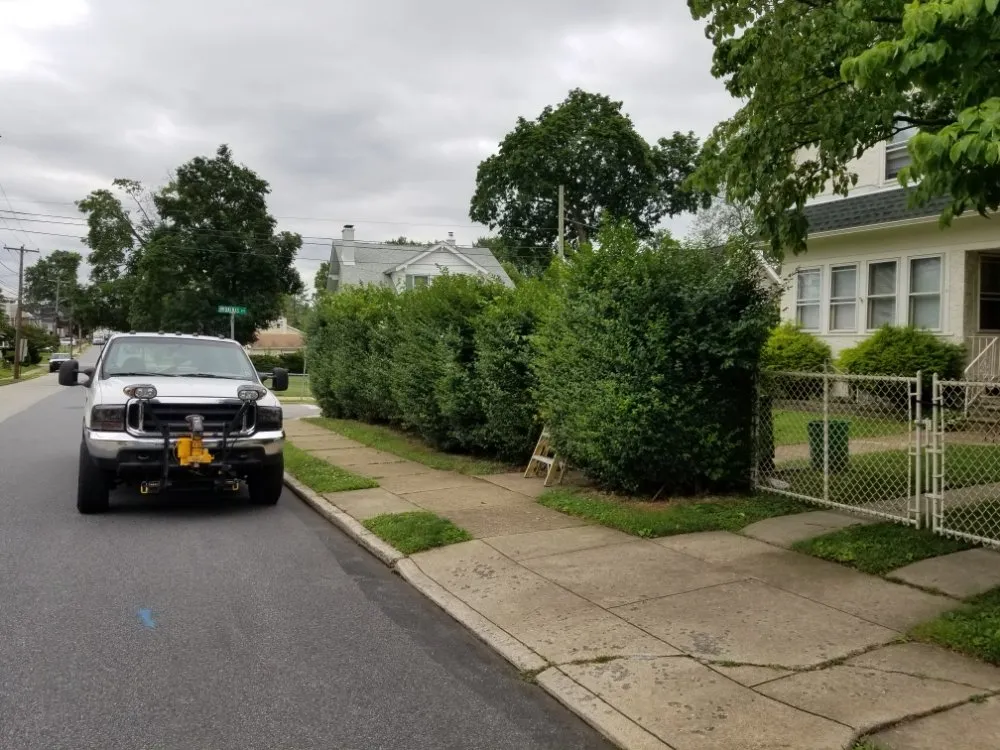 Affordable landscape installation in Sharon Hill, PA - Thompson & Sons Landscaping