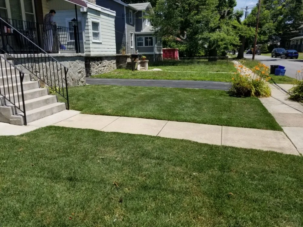 Top-rated landscape design in Sharon Hill, PA - Thompson & Sons Landscaping