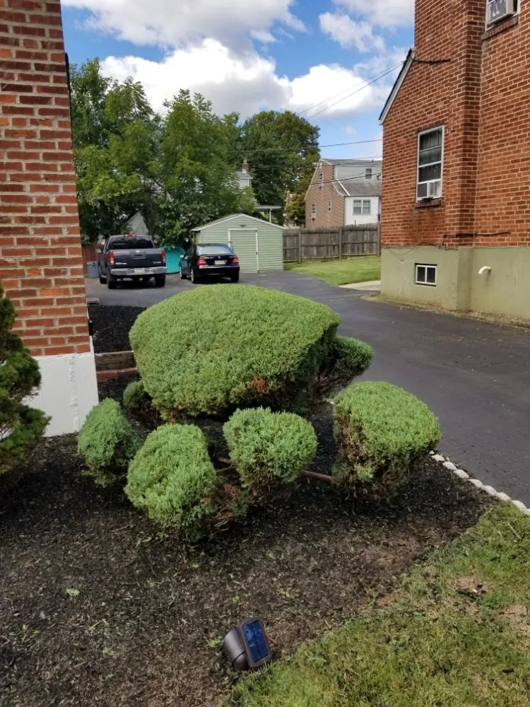 Trusted lawn care service experts serving Sharon Hill, PA - Thompson & Sons Landscaping