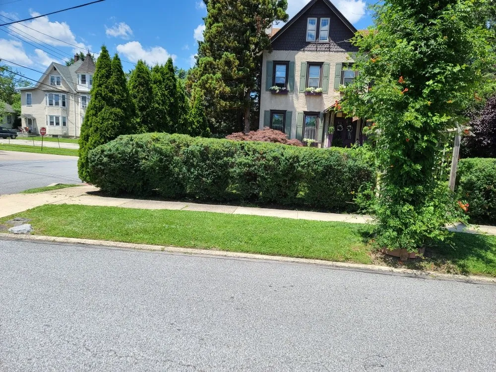 Affordable lawn care service in Sharon Hill, PA - Thompson & Sons Landscaping