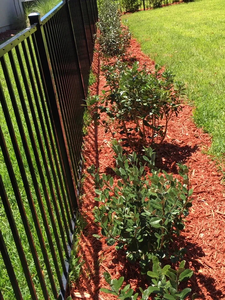 Professional outdoor landscaping near you in Brooker, FL by Thompson and Son's Lawnscapes