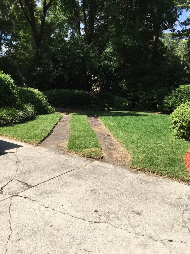Expert residential landscaping for residential properties in Brooker, FL by Thompson and Son's Lawnscapes