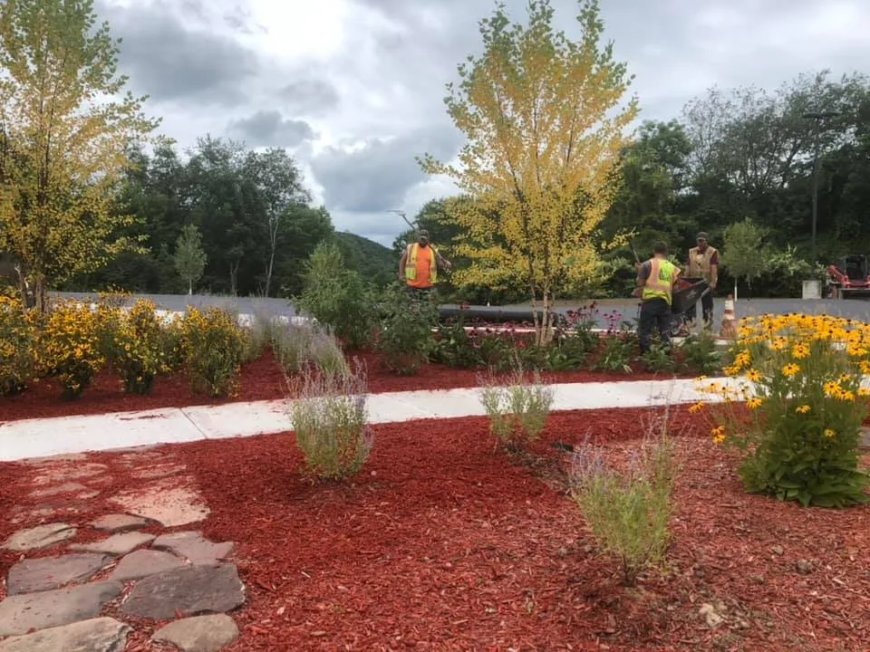 Top-rated yard maintenance in Norwich, NY by Thompson Brothers