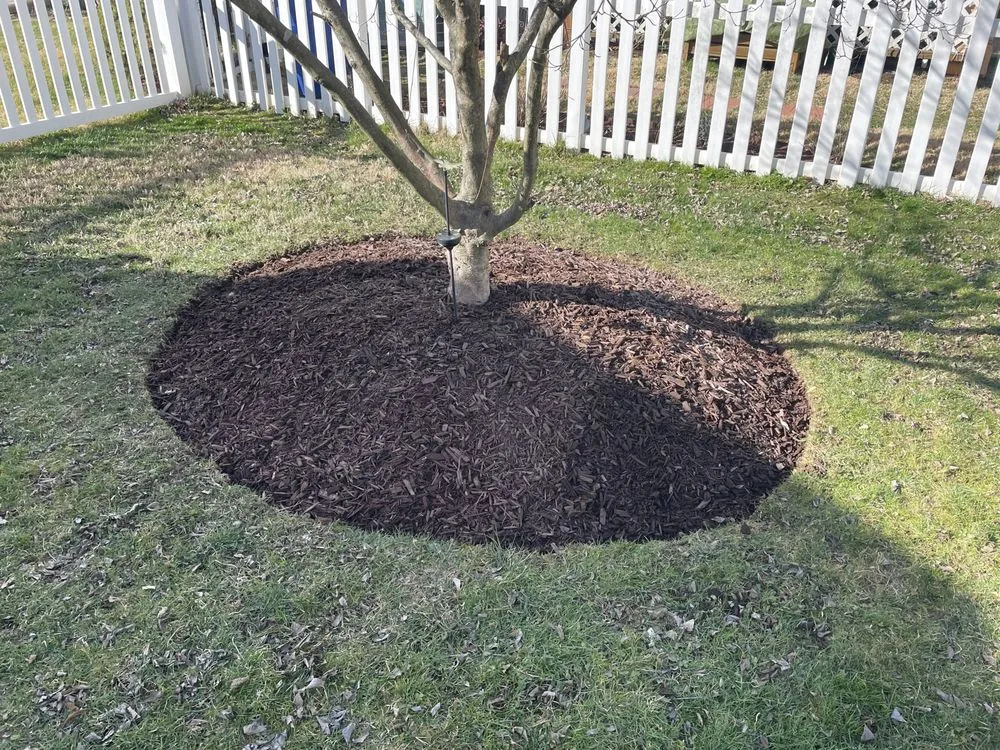 Top-rated landscape installation in Eldersburg, MD by Thompson Excavating & Landscapes