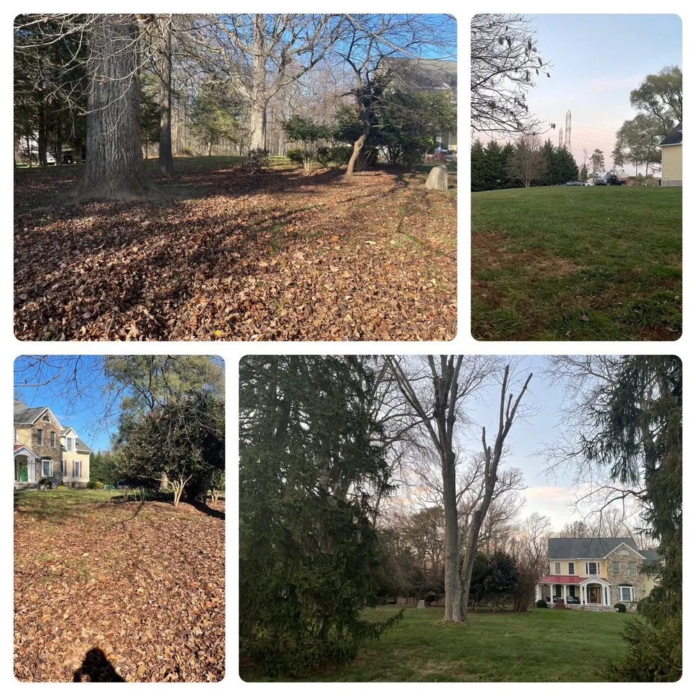 Trusted lawn care service near you across Eldersburg, MD - Thompson Excavating & Landscapes