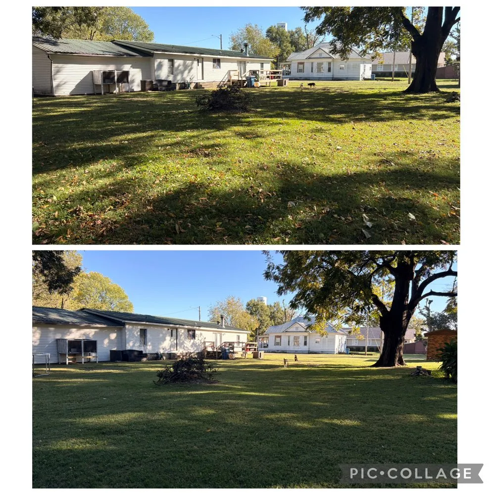 Local yard maintenance in Bloomfield, MO by Thompson Excavating Solutions