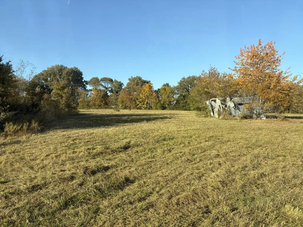 Local landscaping services in Bloomfield, MO by Thompson Excavating Solutions