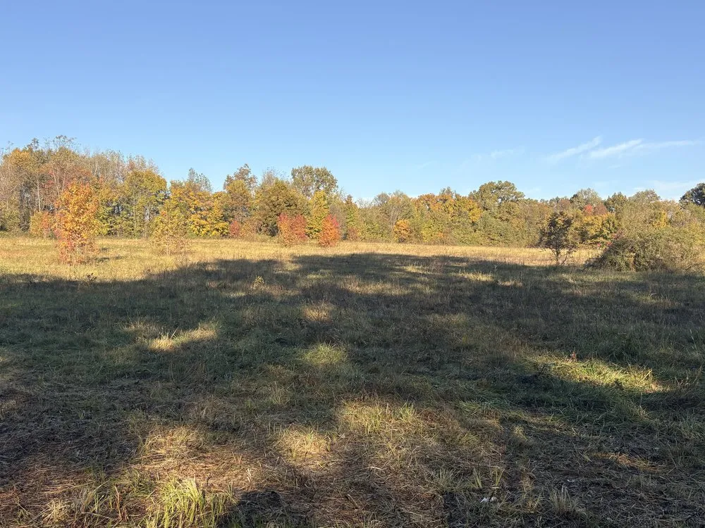 Custom lawn care service for homes in Bloomfield, MO by Thompson Excavating Solutions