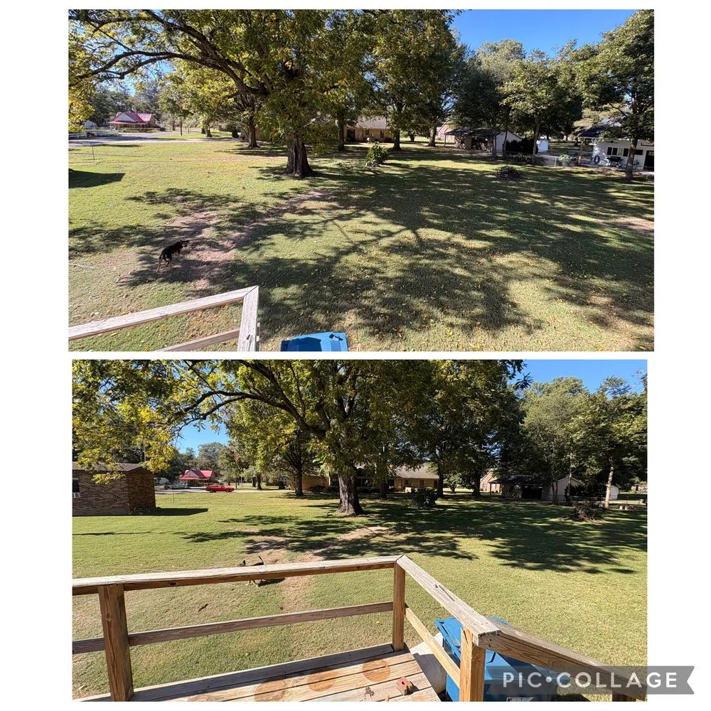 Affordable landscaping services experts serving Bloomfield, MO - Thompson Excavating Solutions