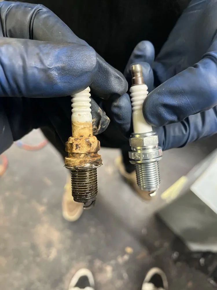 Expert yard cleanup service for outdoor upgrades in Florence, AL by Thompson Handy Services