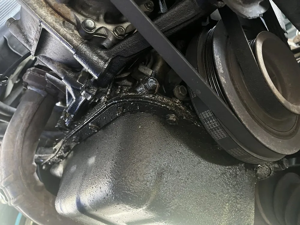 Top-rated garden landscaping experts serving Florence, AL - Thompson Handy Services