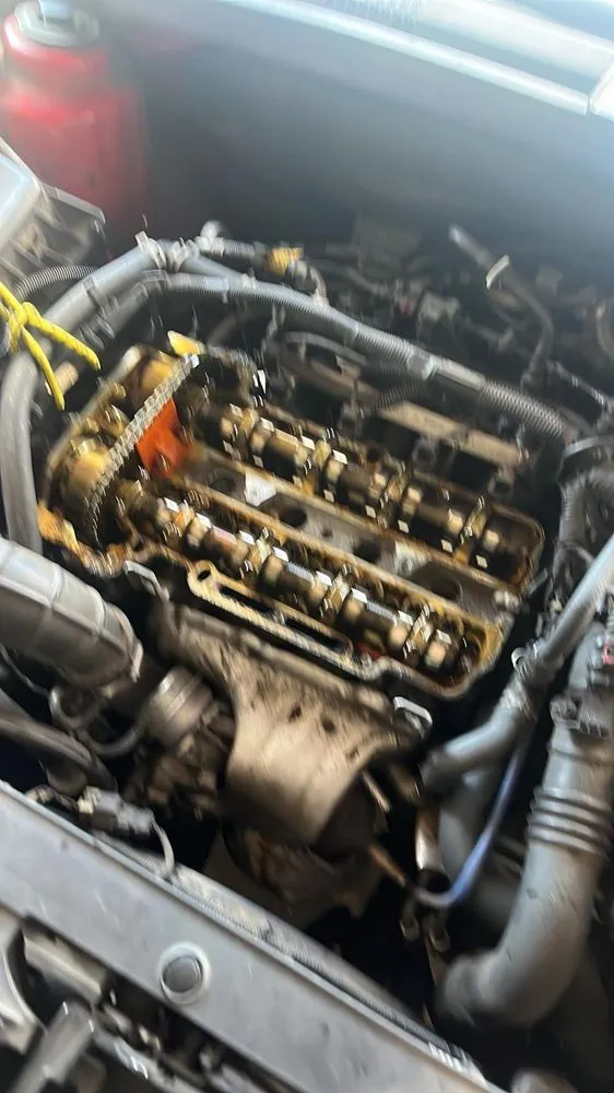 Reliable lawn care service for residential properties in Florence, AL by Thompson Handy Services